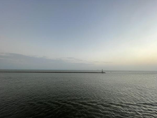 Selective focus photography of orange and white cat on brown table